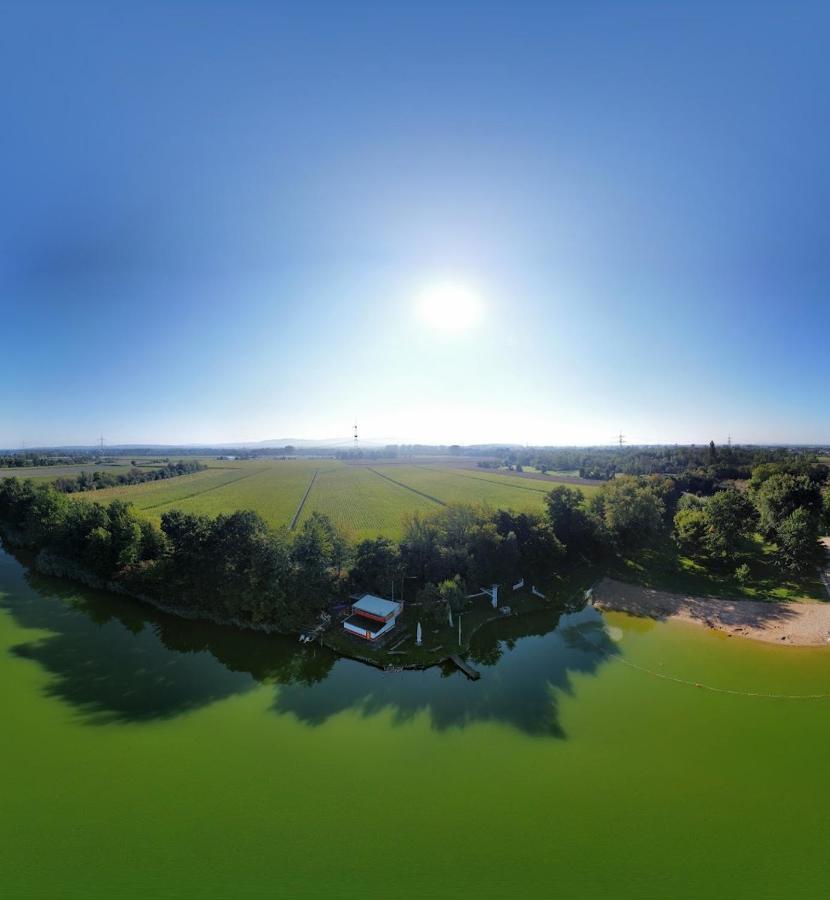 River View Near Frankfurt -- 3 Zimmer -- 4 Betten Und 1 Groesse Schlafcouch Hainburg Εξωτερικό φωτογραφία